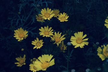 3A235017-E953-4C95-B334-05D9F1524DE7/L0/001