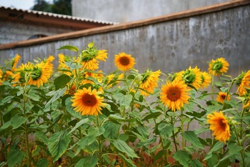 2651225B-162E-41EB-B26C-0EB19E3FD473/L0/001