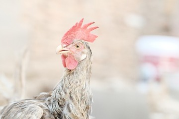 2387