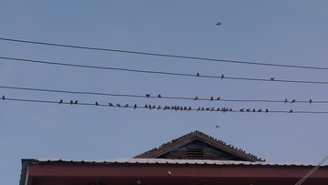 555782