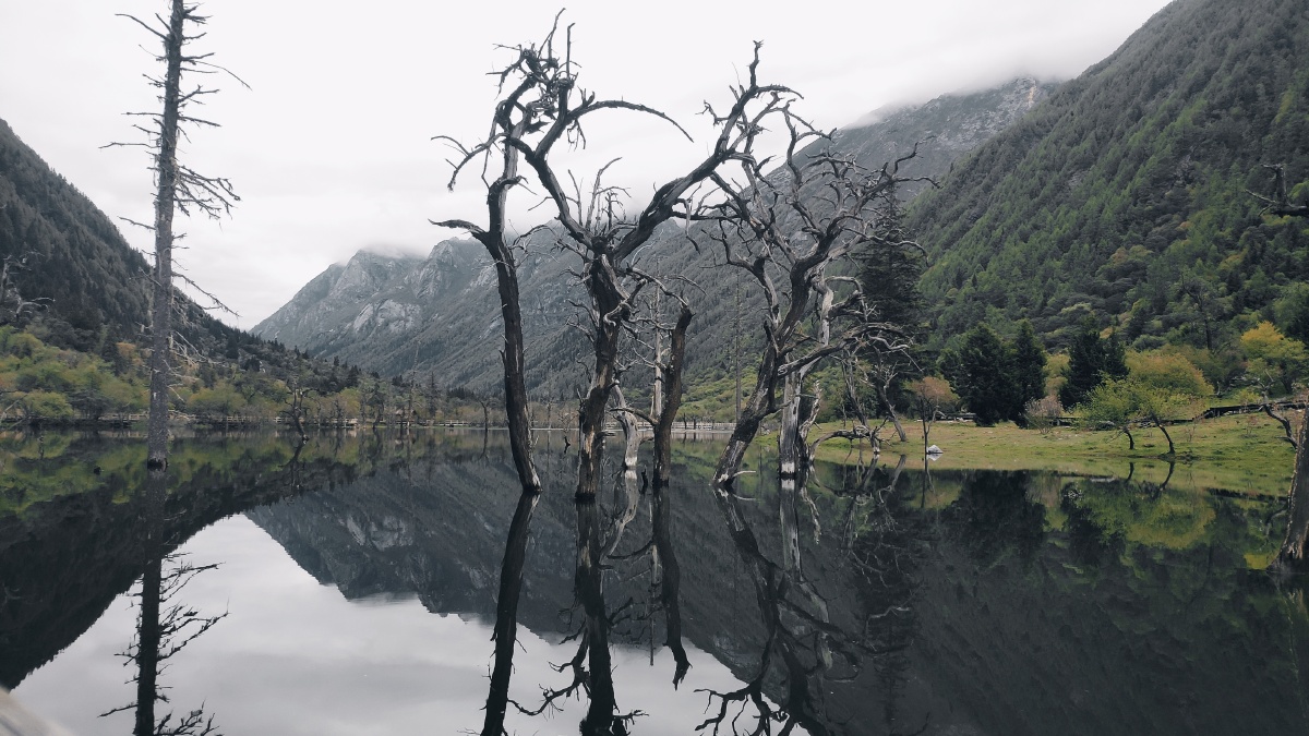 在绝望中挣扎,在挣扎中绝望