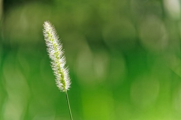 _DSC2452_DxO