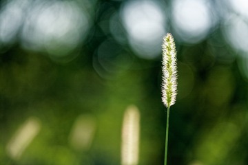 _DSC2455_DxO