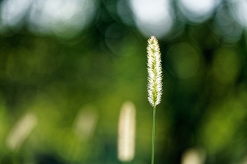_DSC2456_DxO