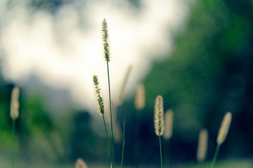 _DSC2457_DxO