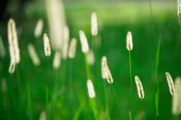 _DSC2458_DxO