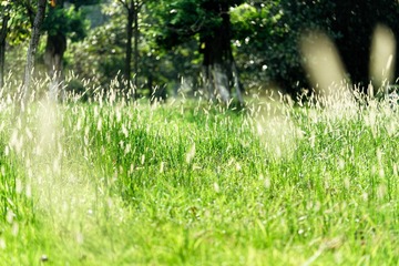 _DSC2477_DxO