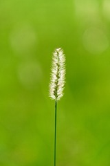 _DSC2480_DxO