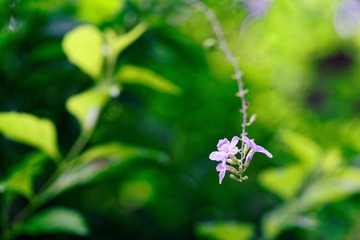 _DSC3202_DxO