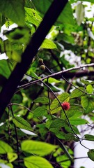 _DSC3294_DxO