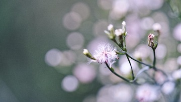 _DSC3297_DxO