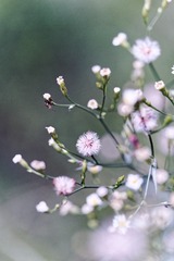 _DSC3298_DxO