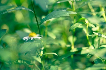 _DSC2460_DxO
