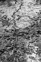 _DSC2489_DxO