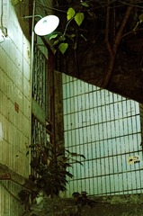 _DSC3534_DxO