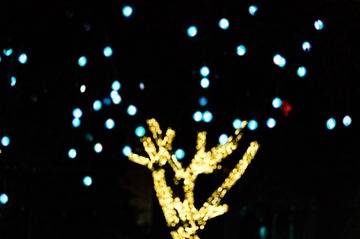 _DSC3807_DxO