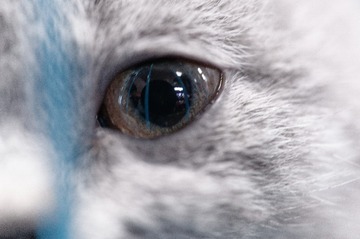 _DSC3831_DxO