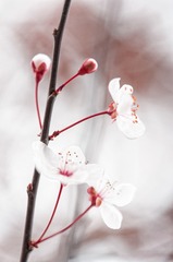_DSC6773_DxO-2
