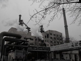 2010_0307BS