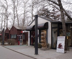 2010_0307CH