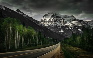 9042