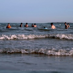 海20100814