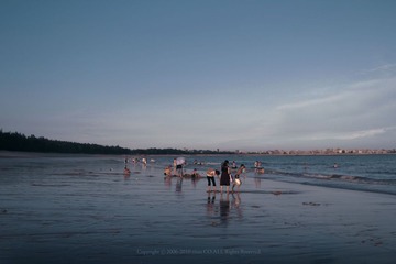 青山湾 20100814