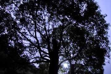 B23403F8-F823-48F5-BFE5-E71904E00472/L0/001