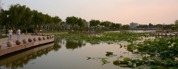 全景合成