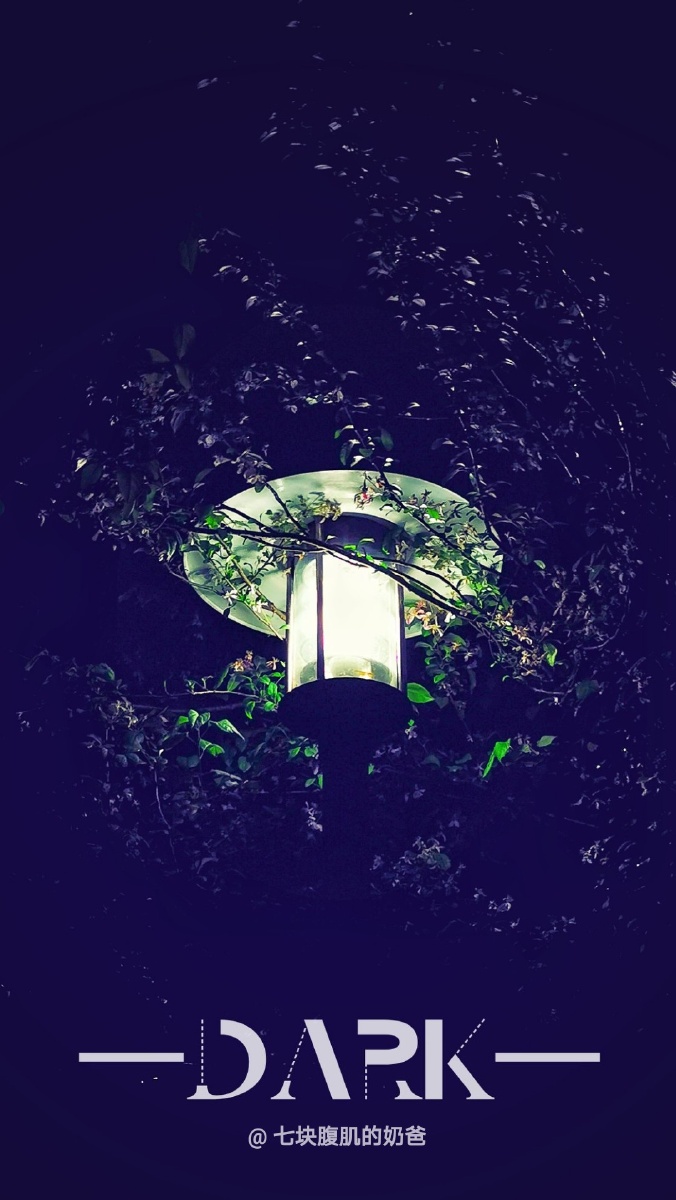 愿你人生的每个阶段,都有指明灯