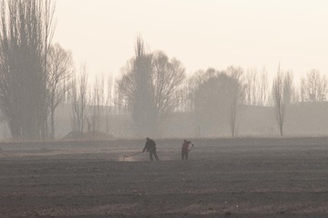 2008862