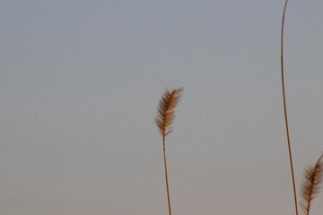 2008873