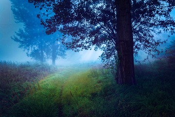 20C50860-CD4B-4D14-9CF6-ACC0BE66A123/L0/001