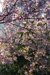 C2580291-E385-490B-8BB0-7C6816CAE264/L0/001