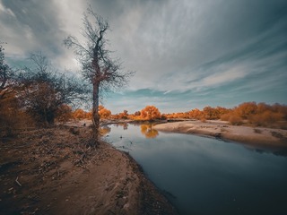 1000029307