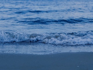 121F79E5-2088-46CB-9859-61B7328D0943/L0/001