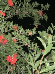 77B95069-2953-4AE1-9E80-AF4D0380E062/L0/001