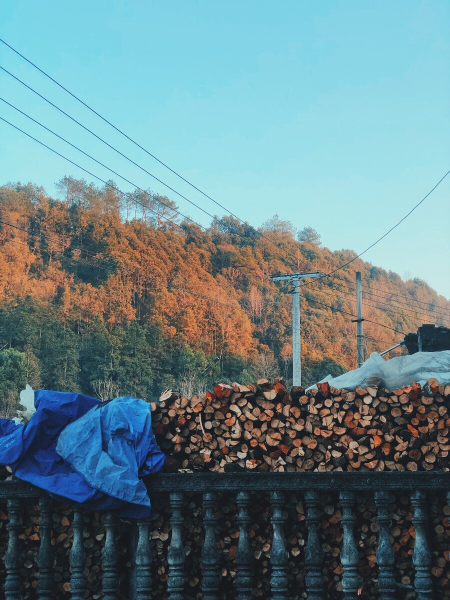 家乡人家的柴堆