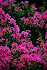 B376D36A-F167-44D8-ADA0-71D234DDF587/L0/001