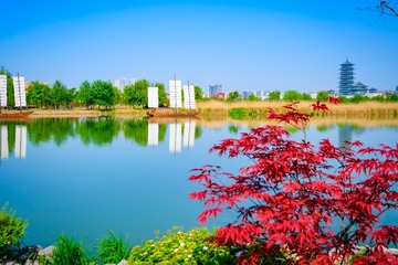2D5D0D6E-F795-4B87-94E2-C2FEC33FE763/L0/001