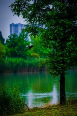 6337B671-490C-4FBA-B6CC-7A299396056B/L0/001