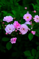 24292C71-D92F-4446-AEFC-73BFCEDA2D6B/L0/001