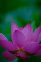 67CB6B42-3DFF-460B-82C4-C6FC9913EF0E/L0/001