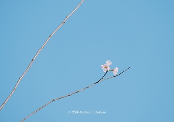 0899F933-D05A-467A-9C96-E89FA58DBA48/L0/001
