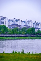 5E127A81-B426-417F-B473-0650FA1E4085/L0/001