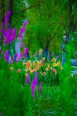 16ED0B28-7F5B-451A-B366-042C98172F3C/L0/001