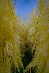2DB6FF37-7164-4D2A-9F65-0708A78B6458/L0/001