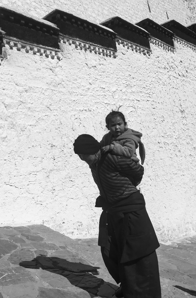 在高原,在布达拉宫的台阶上,我们单人都气喘吁吁,老人还背着