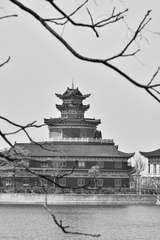 AA67839A-6D6A-4EF9-99A7-D4FEFDE4EDE2/L0/001