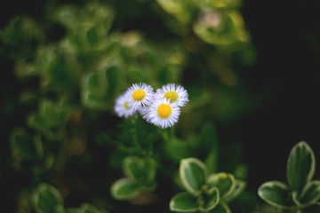 995387